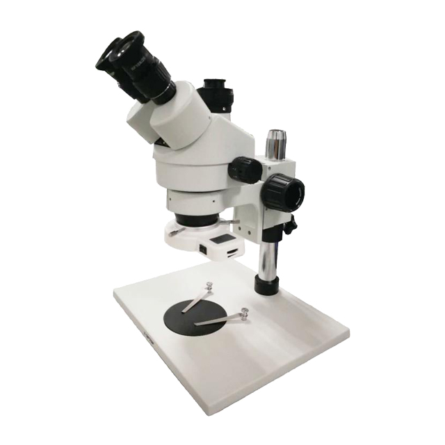 Microscopio estéreo trinocular con zoom continuo Microscopio estereoscópico E-Z7